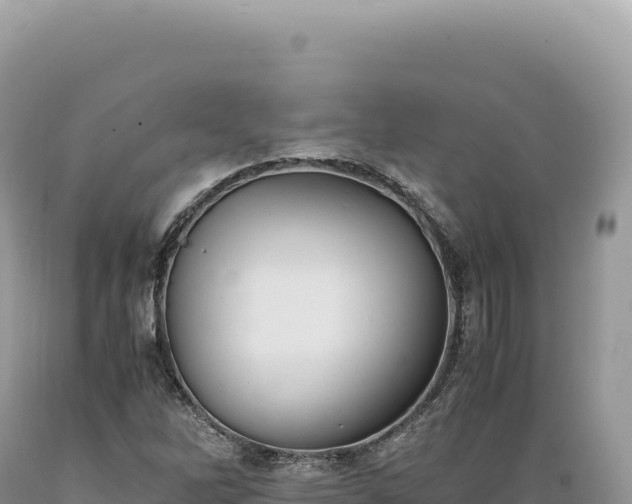 X0000089371262200706221213