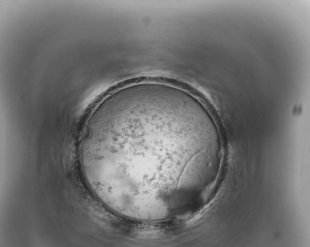 X0000089371263200706221213