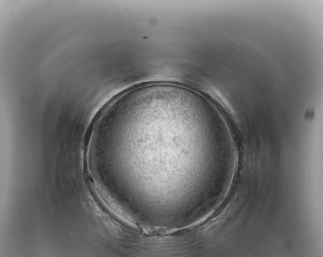 X0000089371268200706221213