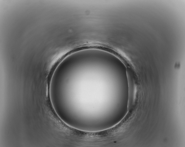 X0000089371269200706221213
