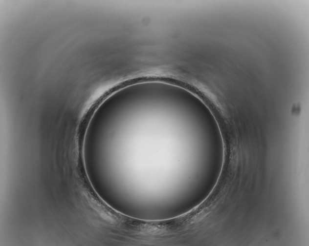 X0000089371270200706221213