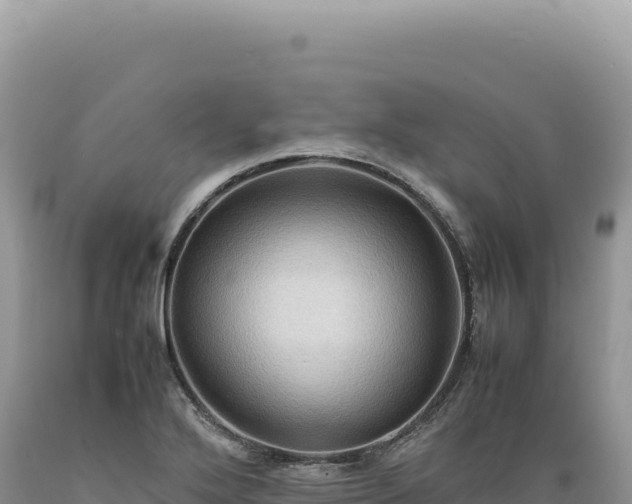 X0000089371272200706221213