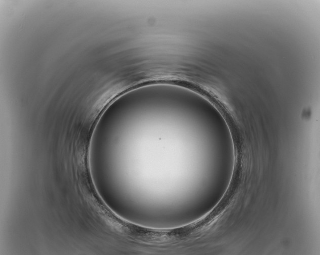 X0000089371273200706221213