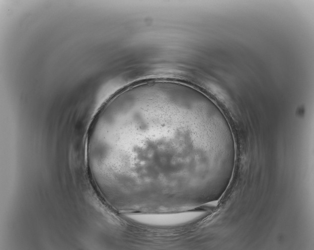 X0000089371275200706221213