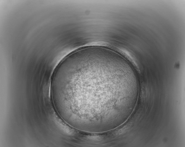 X0000089371276200706221213