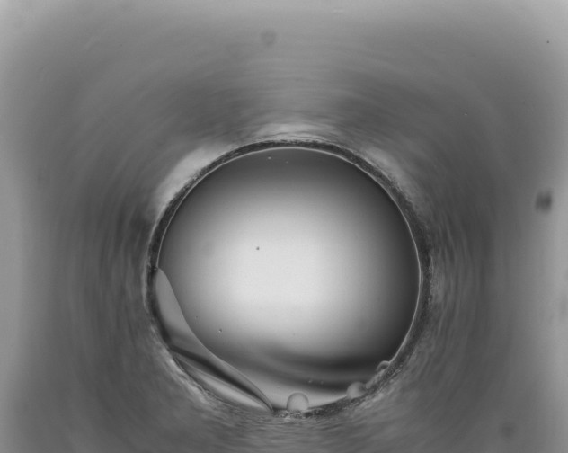 X0000089371277200706221213