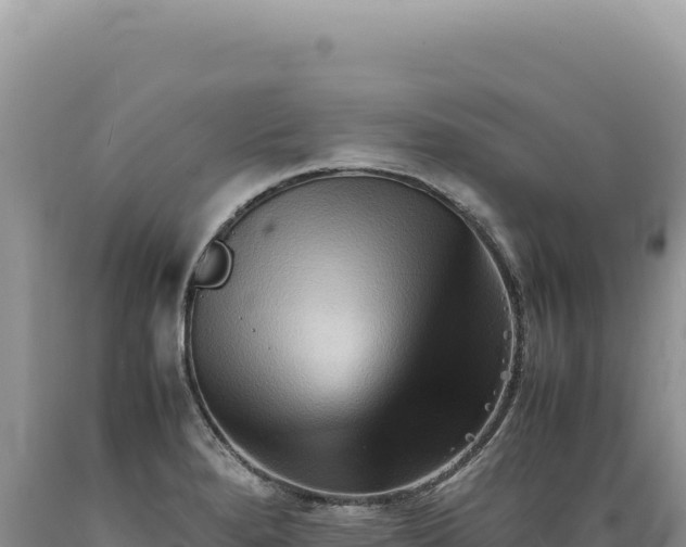 X0000089371280200706221213