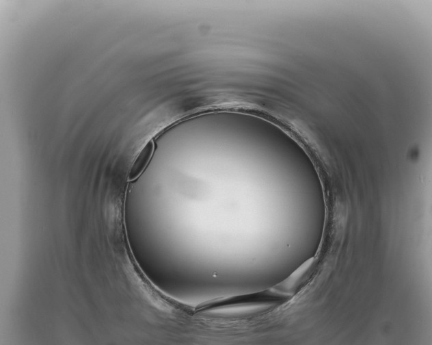 X0000089371281200706221213