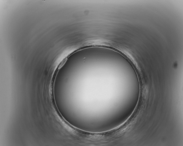 X0000089371285200706221213