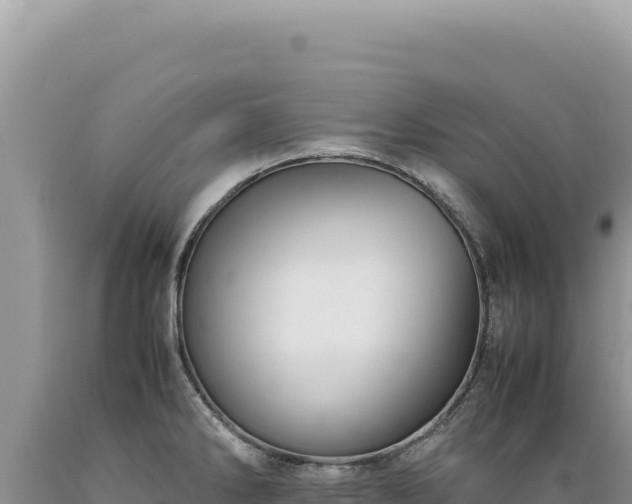 X0000089371286200706221213