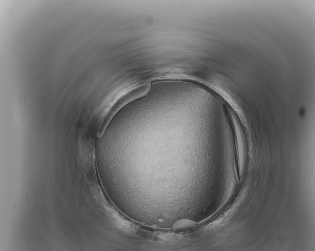 X0000089371289200706221213