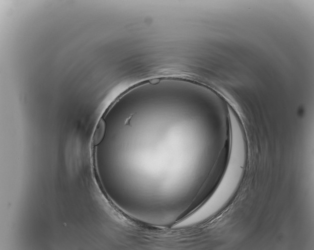 X0000089371291200706221213