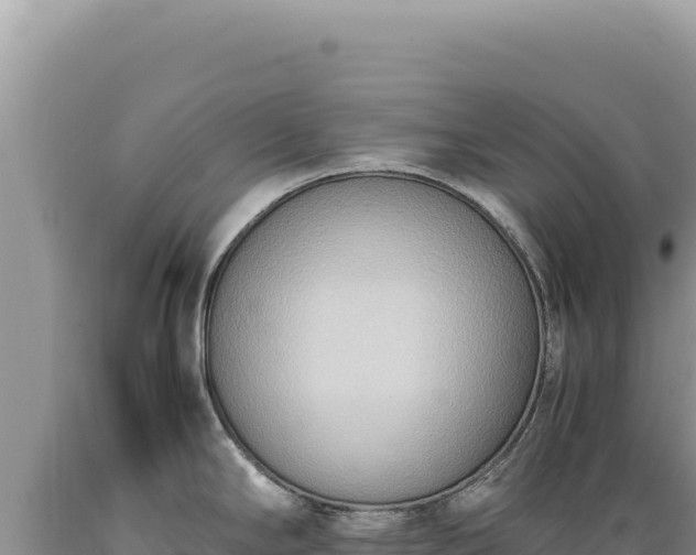 X0000089371294200706221213