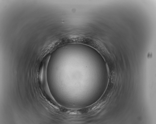 X0000089371298200706221212