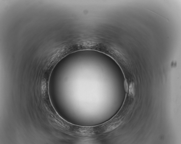X0000089371299200706221212