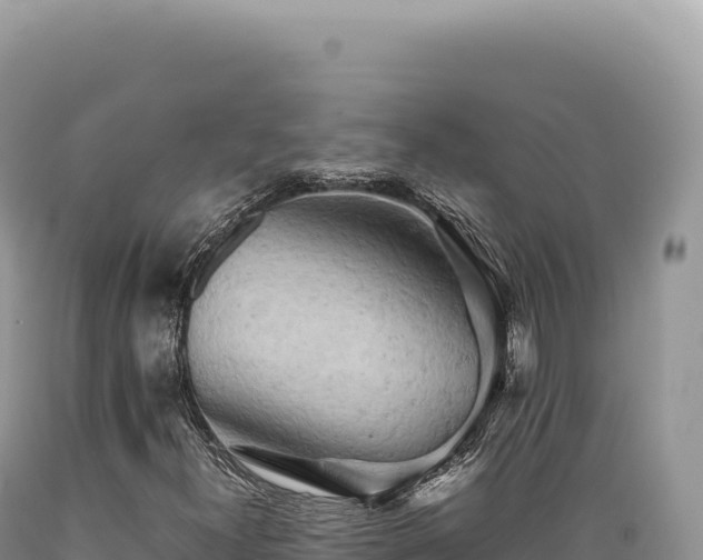 X0000089371300200706221212