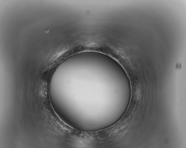 X0000089371301200706221212
