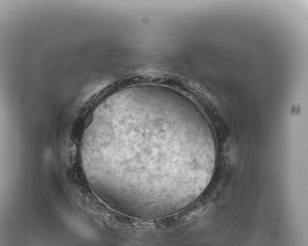 X0000089371302200706221212