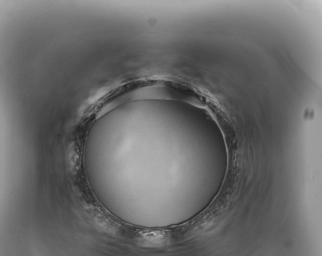 X0000089371303200706221212
