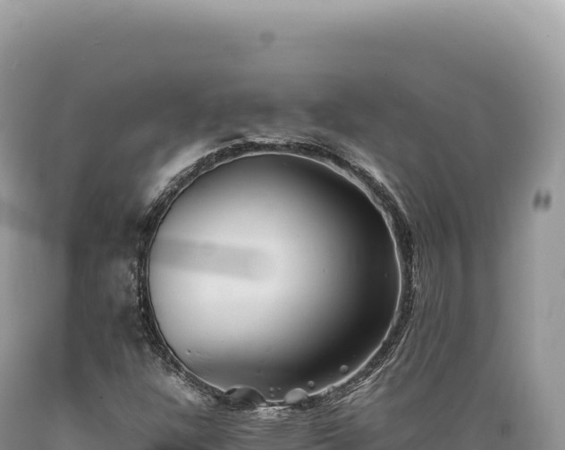 X0000089371304200706221212