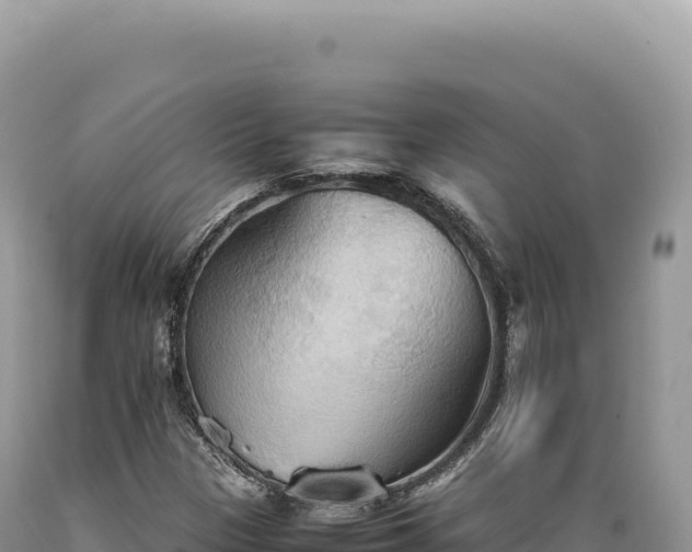 X0000089371305200706221212