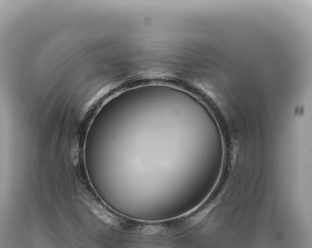 X0000089371306200706221212
