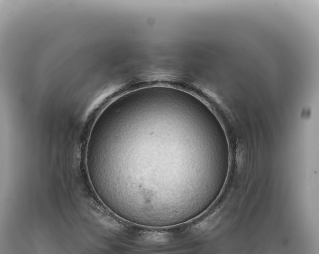 X0000089371309200706221213