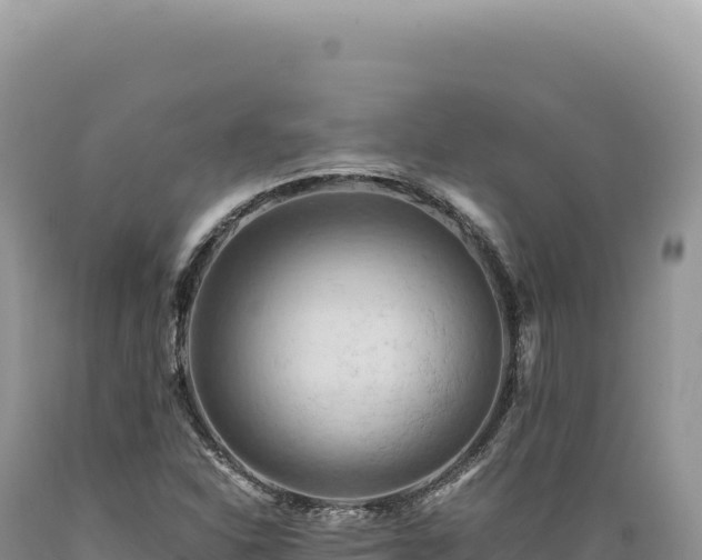 X0000089371310200706221213