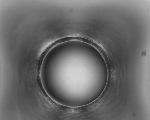 X0000089371311200706221213