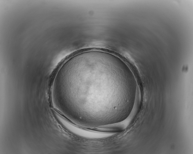X0000089371312200706221213
