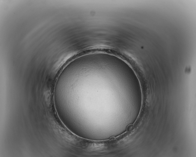 X0000089371313200706221213