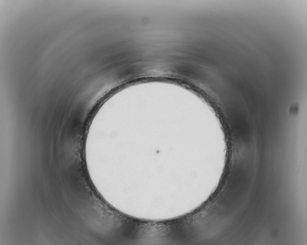 X0000089371314200706221213