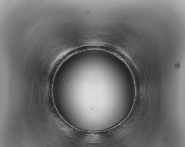 X0000089371315200706221213