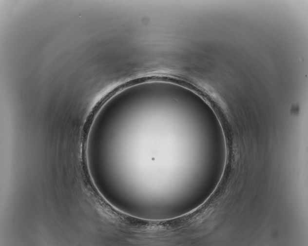 X0000089371316200706221213