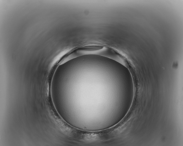 X0000089371317200706221213