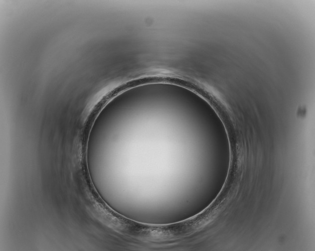 X0000089371318200706221213