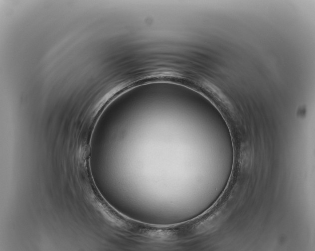 X0000089371321200706221213