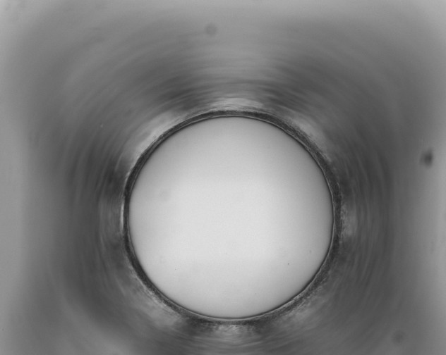 X0000089371322200706221213