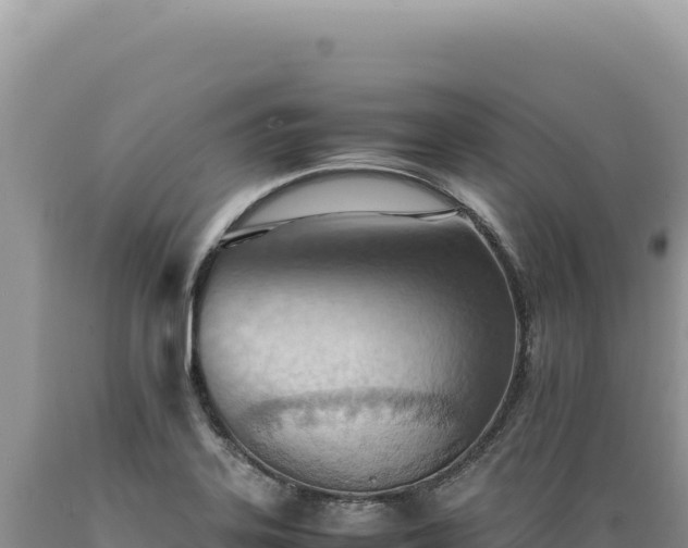 X0000089371323200706221213