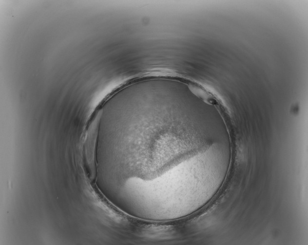 X0000089371325200706221213