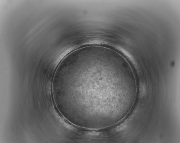 X0000089371329200706221213