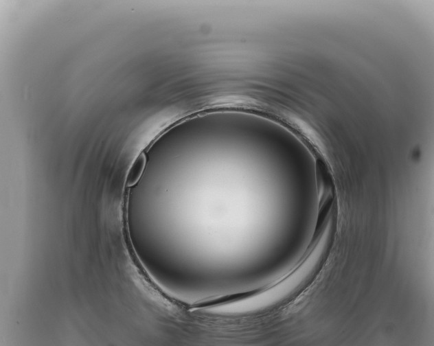 X0000089371330200706221213