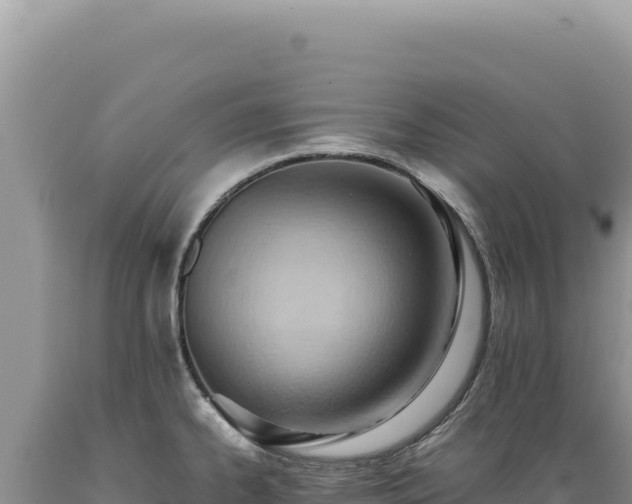 X0000089371334200706221213