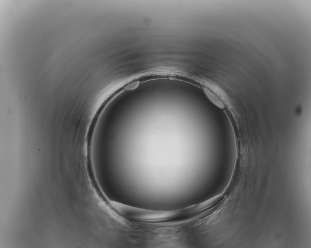 X0000089371335200706221213