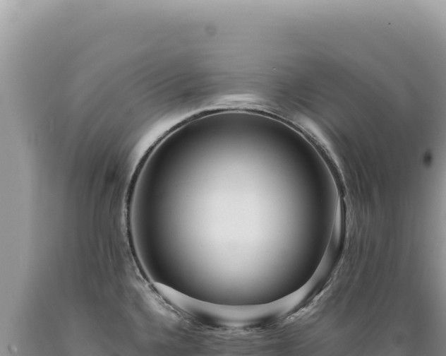 X0000089371336200706221213