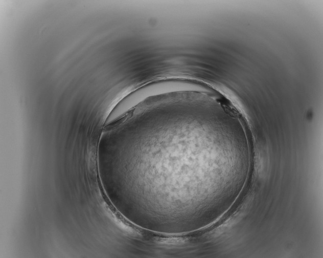 X0000089371337200706221213