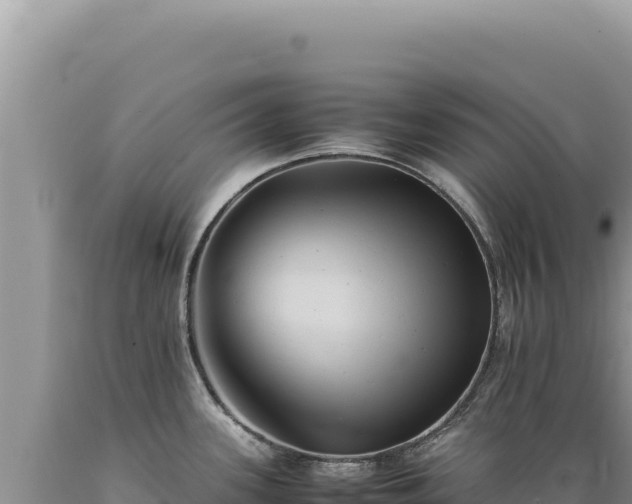 X0000089371339200706221213