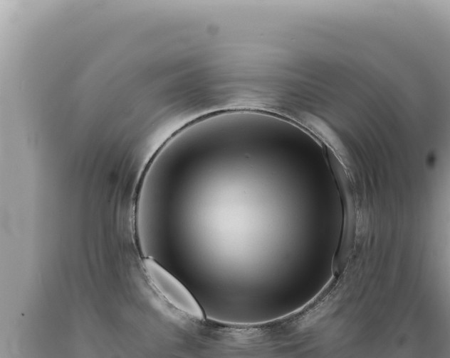 X0000089371340200706221213