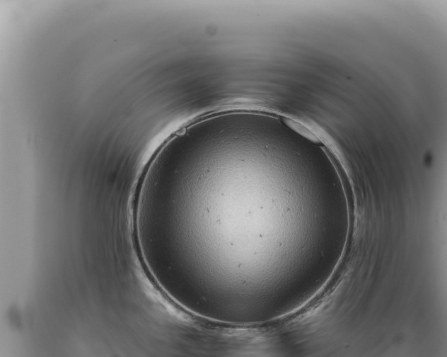 X0000089371341200706221213