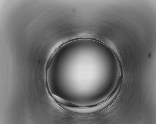 X0000089371342200706221213